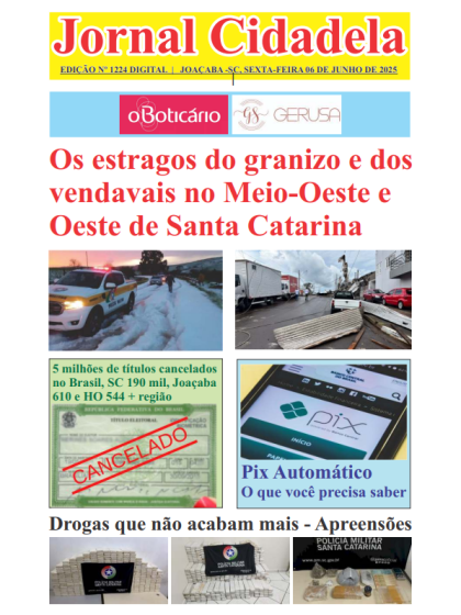 Os estragos do granizo e dos vendavais no Meio-Oeste e Oeste de Santa Catarina