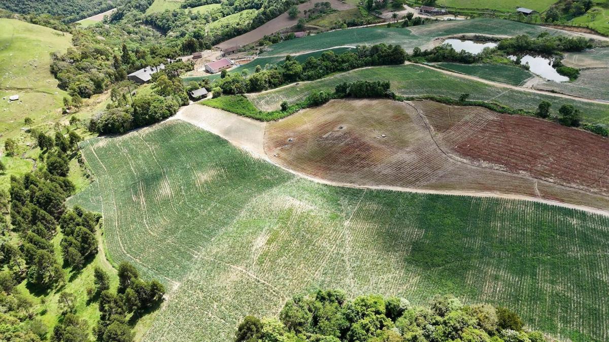 Safra Garantida reforça a proteção das lavouras em Santa Catarina