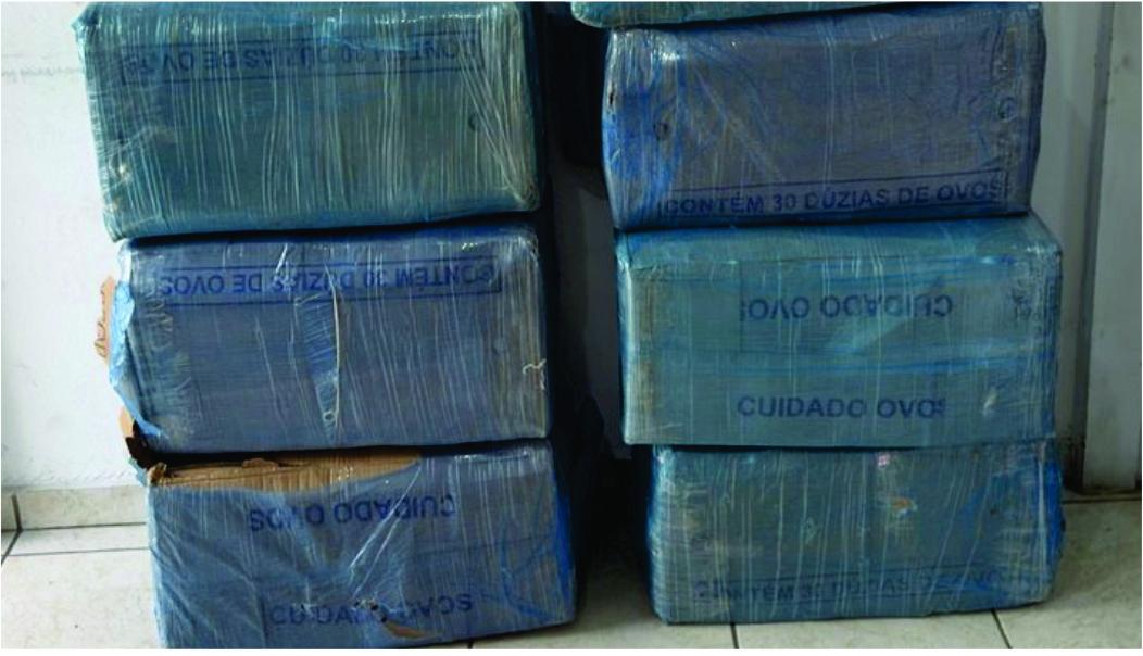 Prisão de malandro e apreensão de 319 kg de maconha