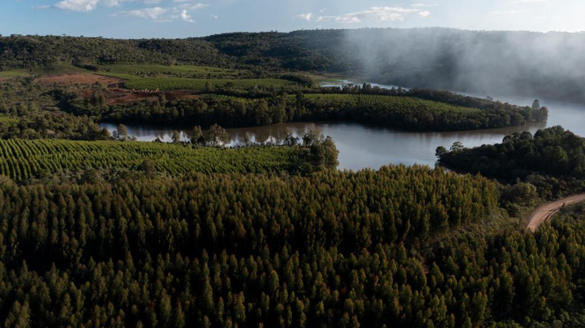 Irani conquista o 32º Prêmio Expressão de Ecologia