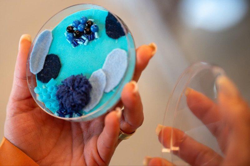 CNI cobra decreto para liberar avanço dos bioinsumos