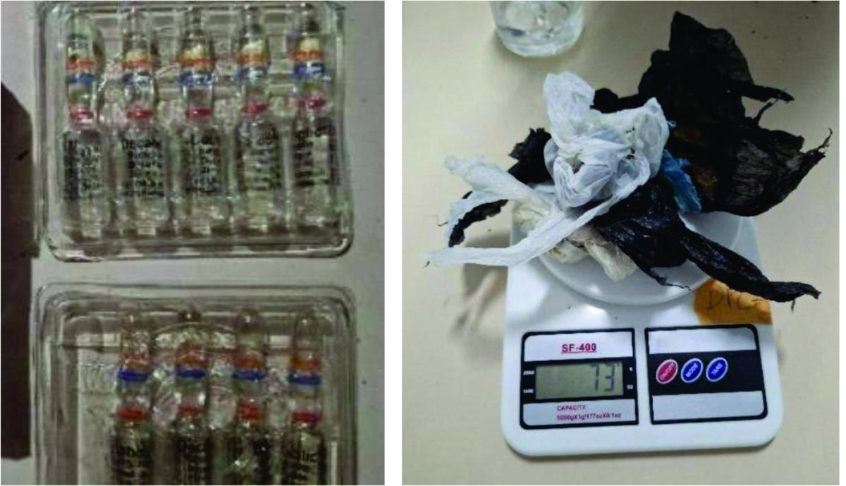 Polícia Militar apreende drogas, anabolizantes e celulares em Herval d’Oeste