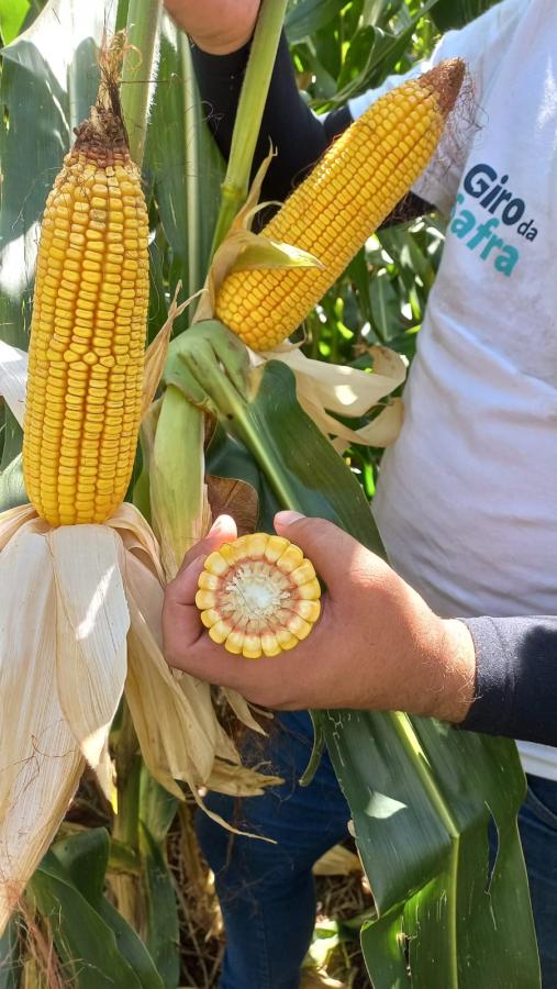Sicoob e Epagri promovem 3ª edição do Giro da Safra em Santa Catarina