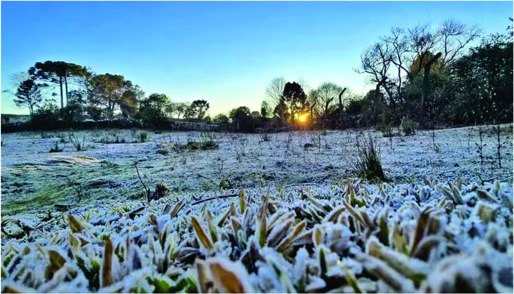 Geada e termômetros abaixo de -4ºC marcam amanhecer na região mais fria de SC