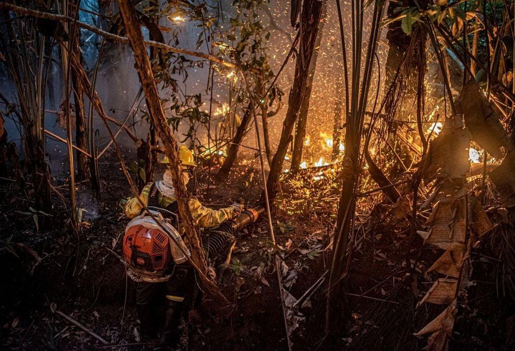 Desmatamento na Amazônia dispara em maio com alta de 91%