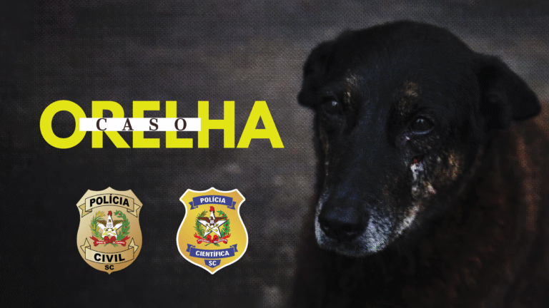 Polícia Civil conclui investigação sobre morte do Cão Orelha