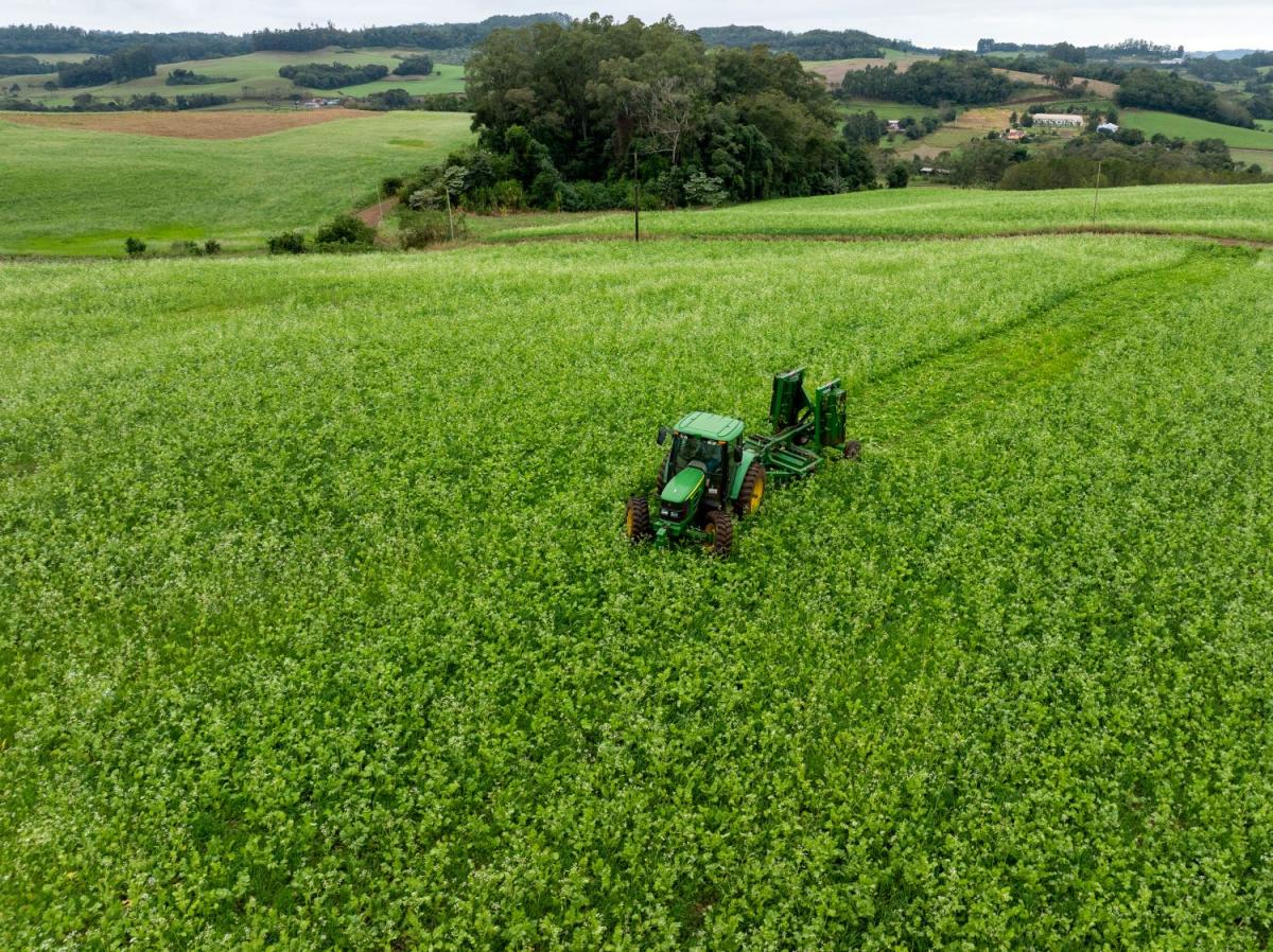 Santa Catarina investe em agricultura sustentável com distribuição de kits para cobertura vegetal