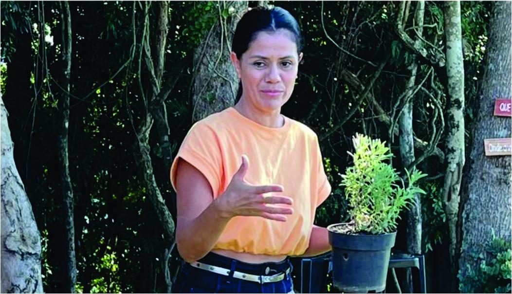 Mulheres atendidas pelo CREAS vivenciam experiência ao ar livre em visita ao Lavandário e Parque Holístico