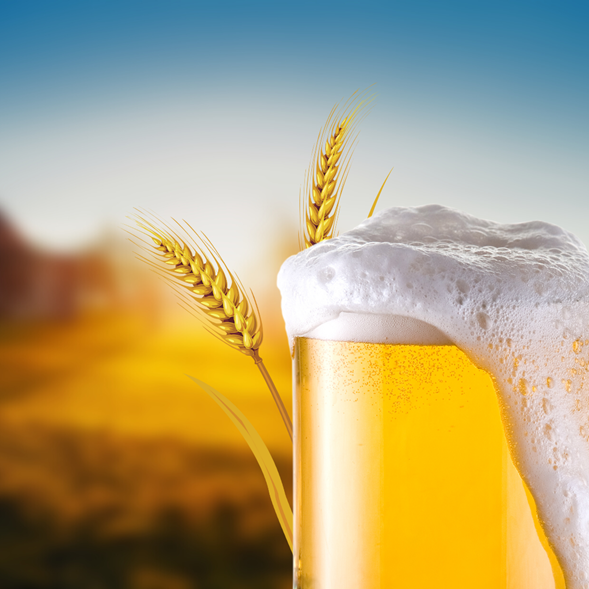 ASCEJO: um novo capítulo da cena cervejeira de Joaçaba (SC).