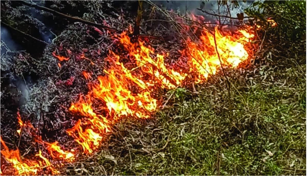 Fogo em vegetação queima 15 mil m² de área no interior de Irani