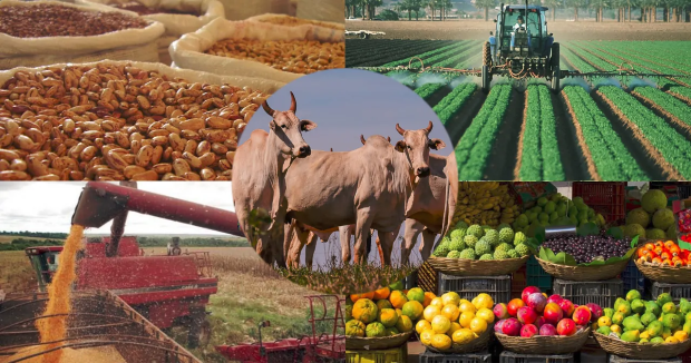 Fórum Momento Agro e discute caminhos para competitividade do agronegócio