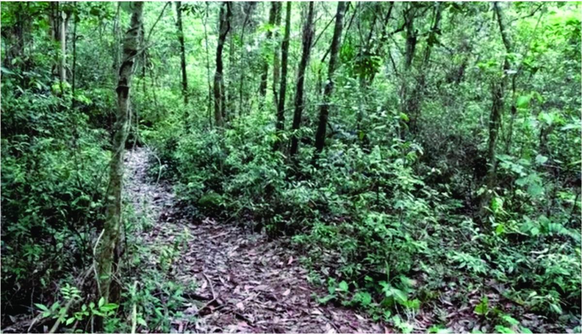 Identificado o homem encontrado morto em área de mata