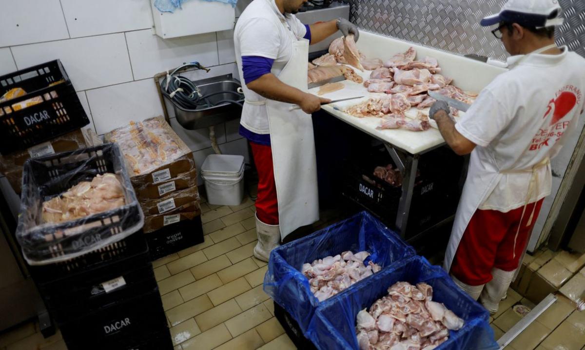 Prazo de 28 dias para Brasil ficar livre da gripe aviária já começou