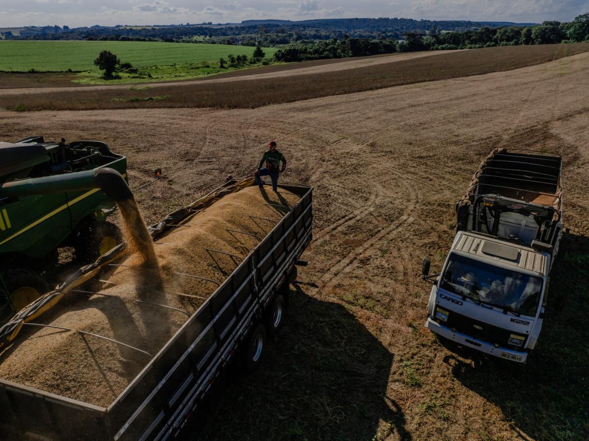 Com alta de 20,7%, Santa Catarina registra safra recorde de grãos em 2025