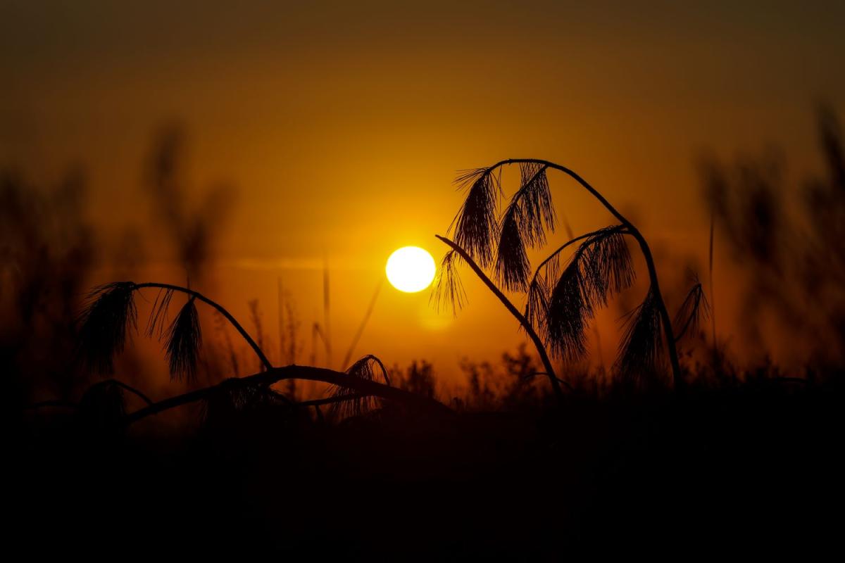 Fim de semana será de sol e tempo firme em Santa Catarina