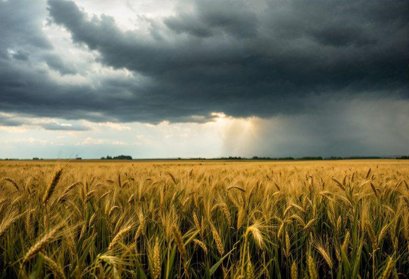 El Niño avança e preocupa o agronegócio para a safra 2026/27