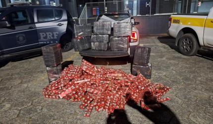 Tráfico de drogas em Campo Alegre