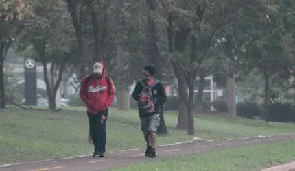 Frio intenso começa na terça-feira, 19, em Santa Catarina