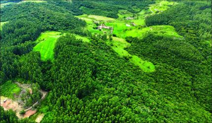 Junho Verde: projetos e ações que impulsionam o desenvolvimento sustentável