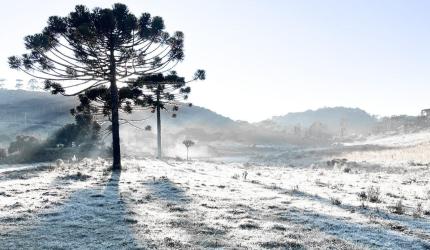 Região mais fria do Brasil tem amanhecer de -7,7°C e Defesa Civil alerta para inverno rigoroso nos próximos dias