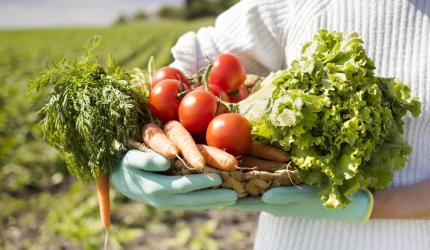 Agricultura familiar respondeu por quase 80% dos contratos do Plano Safra 2025/2026