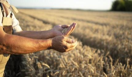 Plano Safra 2025/26 expõe nova fase do financiamento no agro