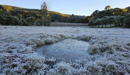 Frio recorde do ano do País registrada hoje em SC