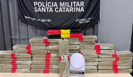 Mais de uma tonelada de maconha é apreendida no fim de semana