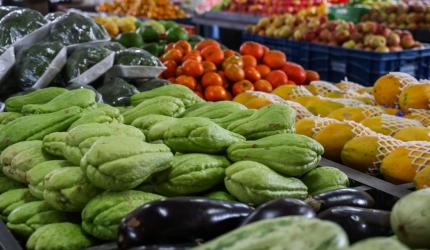 SC tem a maior proporção de domicílios com Segurança Alimentar do país