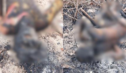 Corpo de jovem de 21 anos encontrado carbonizado em Joaçaba
