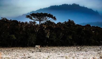 Massa de ar frio provoca queda acentuada das temperaturas em Santa Catarina