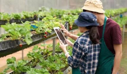 Brasil lidera inovação no agro, mas cooperativas ainda precisam integrar gestão