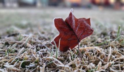 Frio intenso chega a Santa Catarina nesta quinta-feira com mínimas de -5°C
