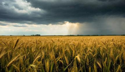 El Niño avança e preocupa o agronegócio para a safra 2026/27