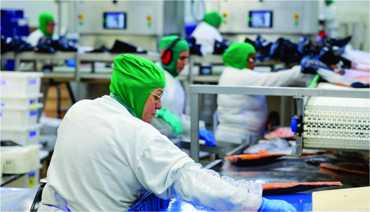 Santa Catarina tem taxa de desemprego menor do que todos os países do G7