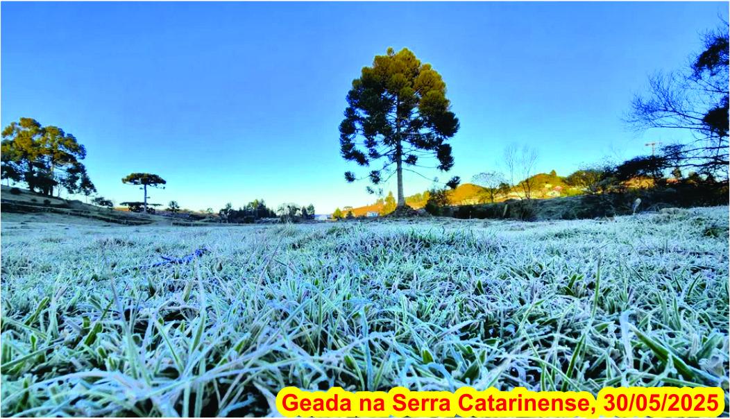 Último fim de semana de maio ainda será de frio intenso e com risco de geadas